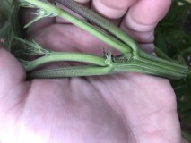 41B9F057-71C2-485B-961F-2E8E534DFE57