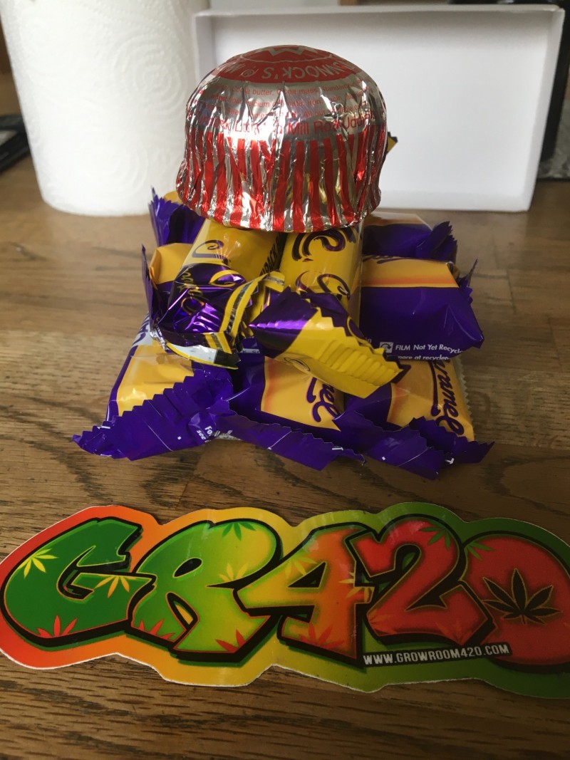 6F004CB8-2BB3-4E74-9973-2FC042D37FD8