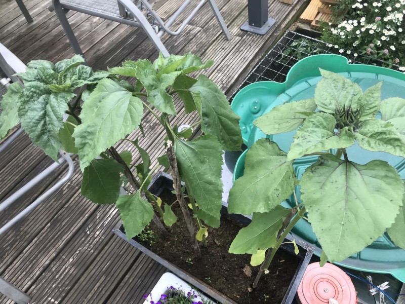 B56F1BF4-80F5-4348-9B4E-D93E4BA7364B