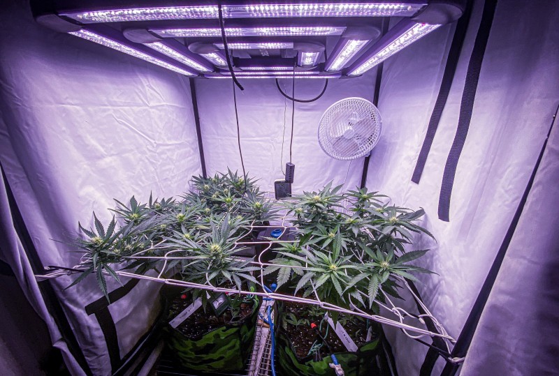 481FC270-8862-4407-8525-27A2B1D50CF6