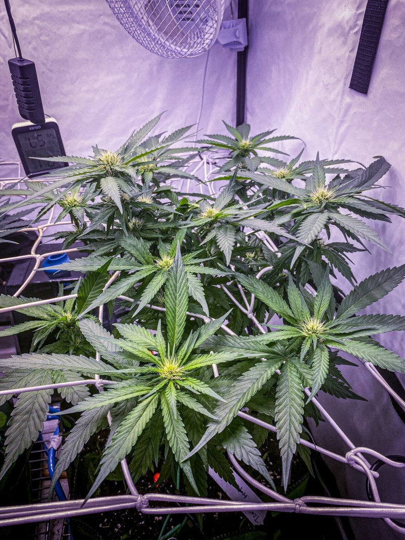 6ADFA84E-5F7E-4E01-BFFA-39CDFD2F416D