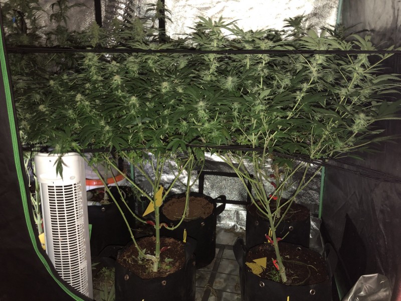 08E36A2C-8391-40FD-9CE5-A5BC504E4209