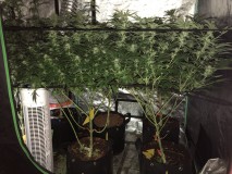 08E36A2C-8391-40FD-9CE5-A5BC504E4209