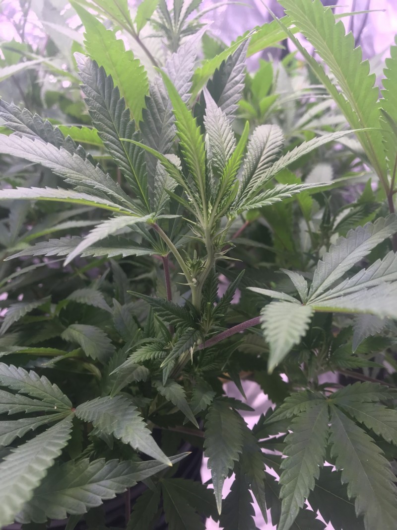 EDFAB1B2-ADF2-4AA1-83AF-4840A2FF1402