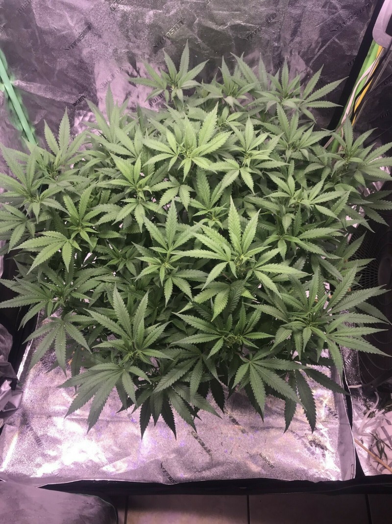 EC476B4E-242E-4ABD-B6F5-B00A0E6F2D61