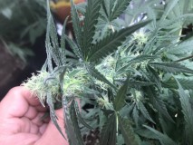 CB667E64-B50E-4E93-A0DD-3D6A007C32ED