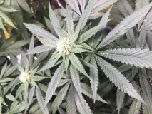 6DD28A65-A363-476C-8E93-2EC16E88320D