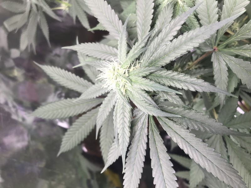 1039990B-A7B3-4224-9546-62DC0DDF1C44