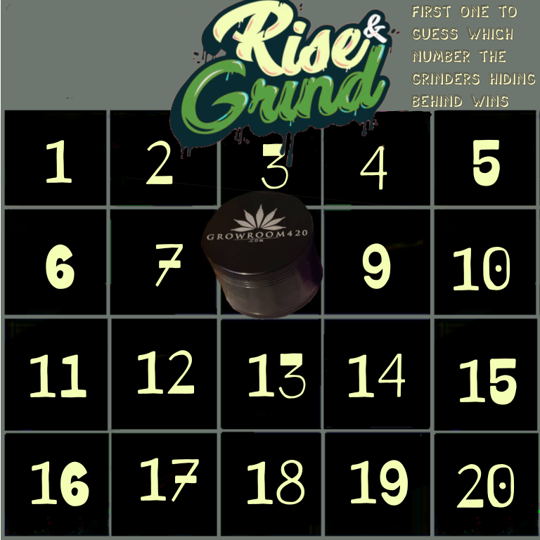 Untitled1242_20210705125357