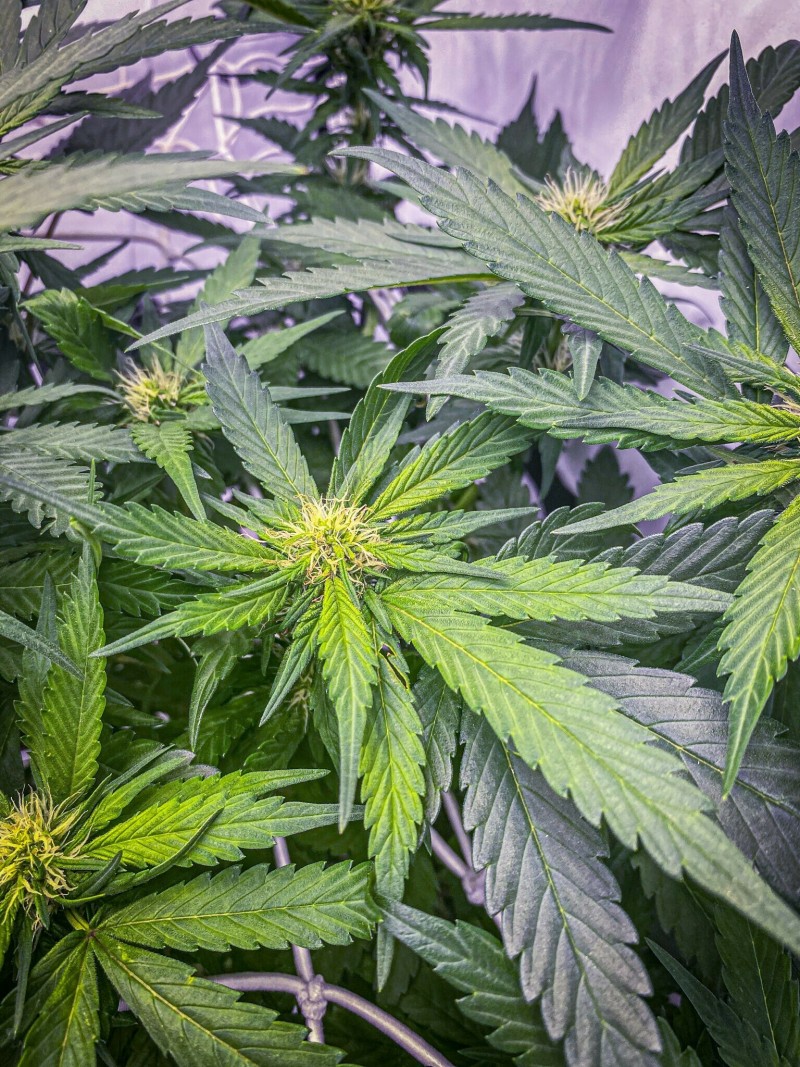 F45A3417-483F-4C09-ACC6-BFF9C2EFD31D