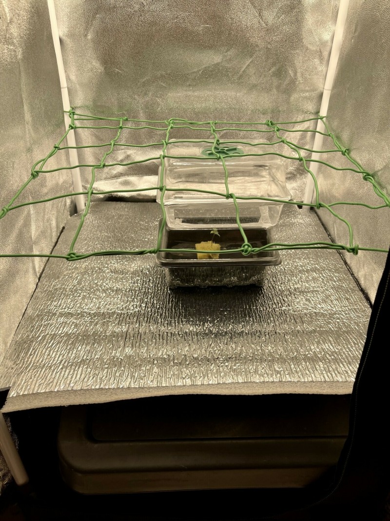 2927ADF6-CC5E-4D38-AB85-789E131893C0