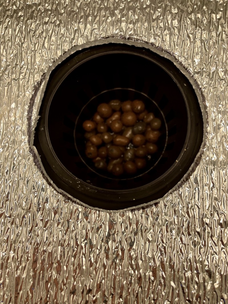 4D2A2375-701F-4D5E-B720-E5579CA218ED