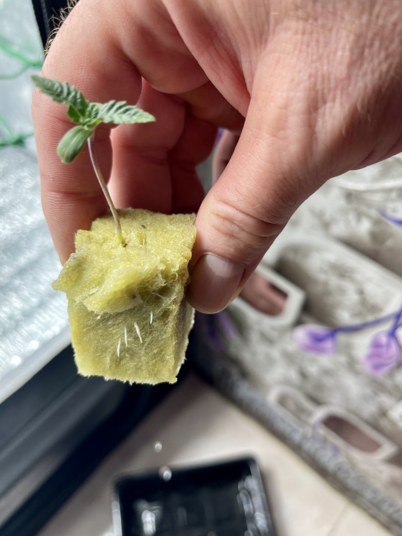 534570C7-7083-4670-AC42-484A5CFD8851