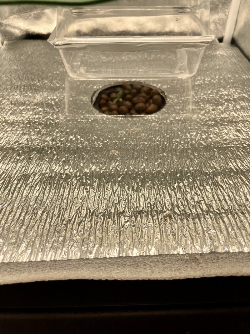 9AD4FC37-E12D-47CA-BB7C-5E69DB0390DA