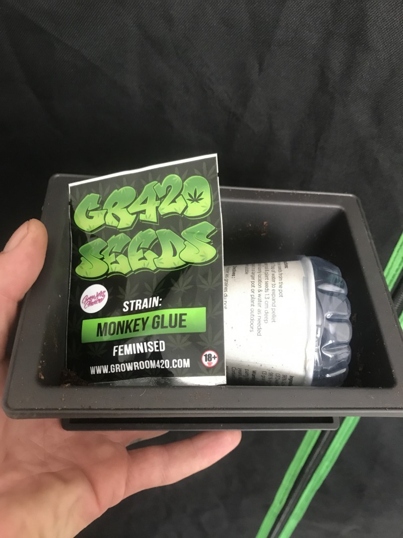 3A173477-67DE-4C95-A2D7-698BB350BF84