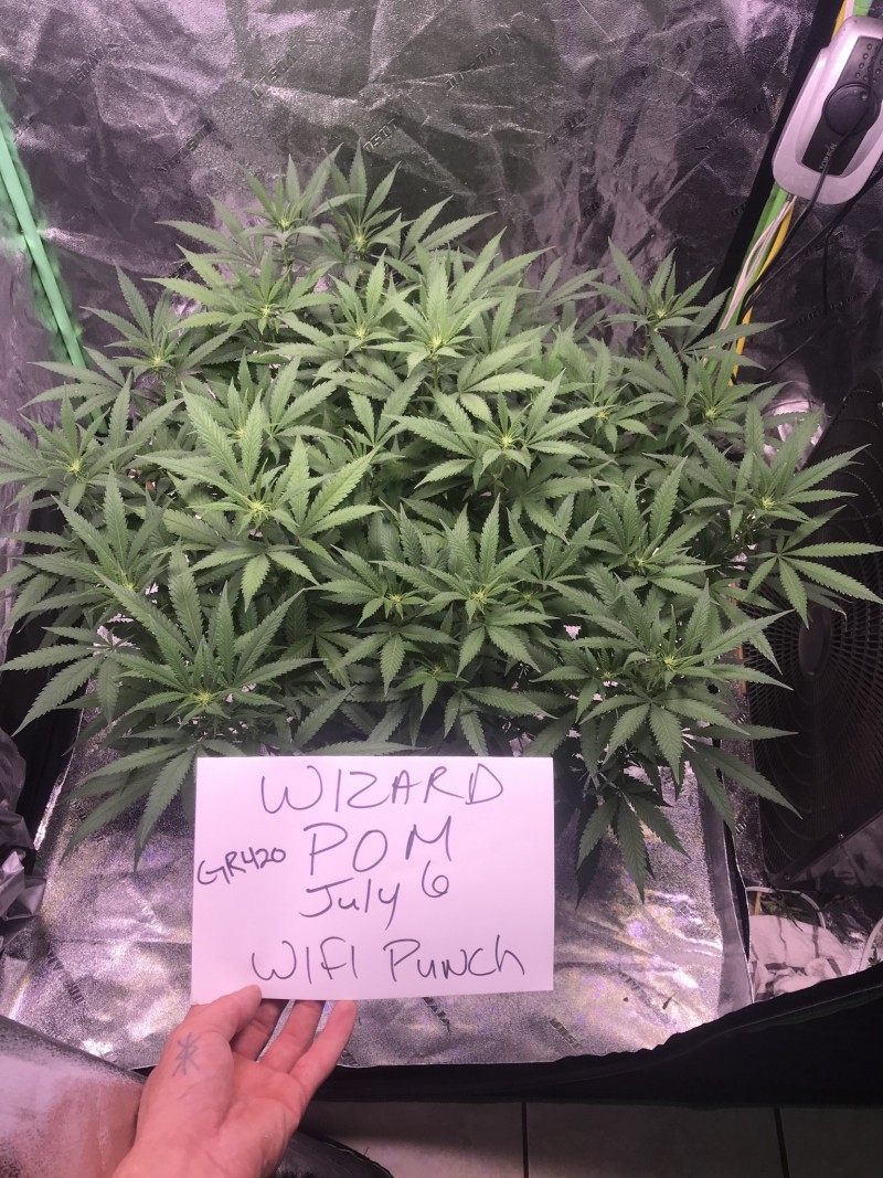 0AAA221D-07E7-4926-832E-DFC1D01C5626