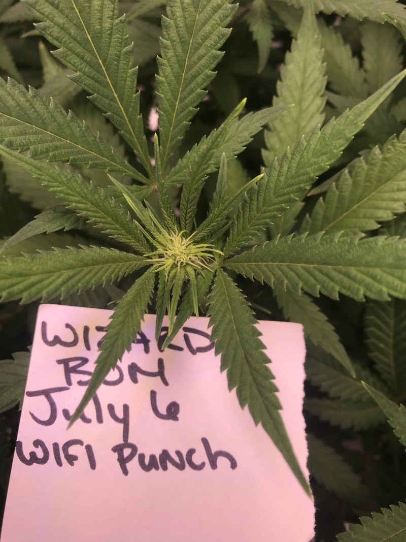 7023902C-7BE2-41B6-A11F-A4562FBDF962