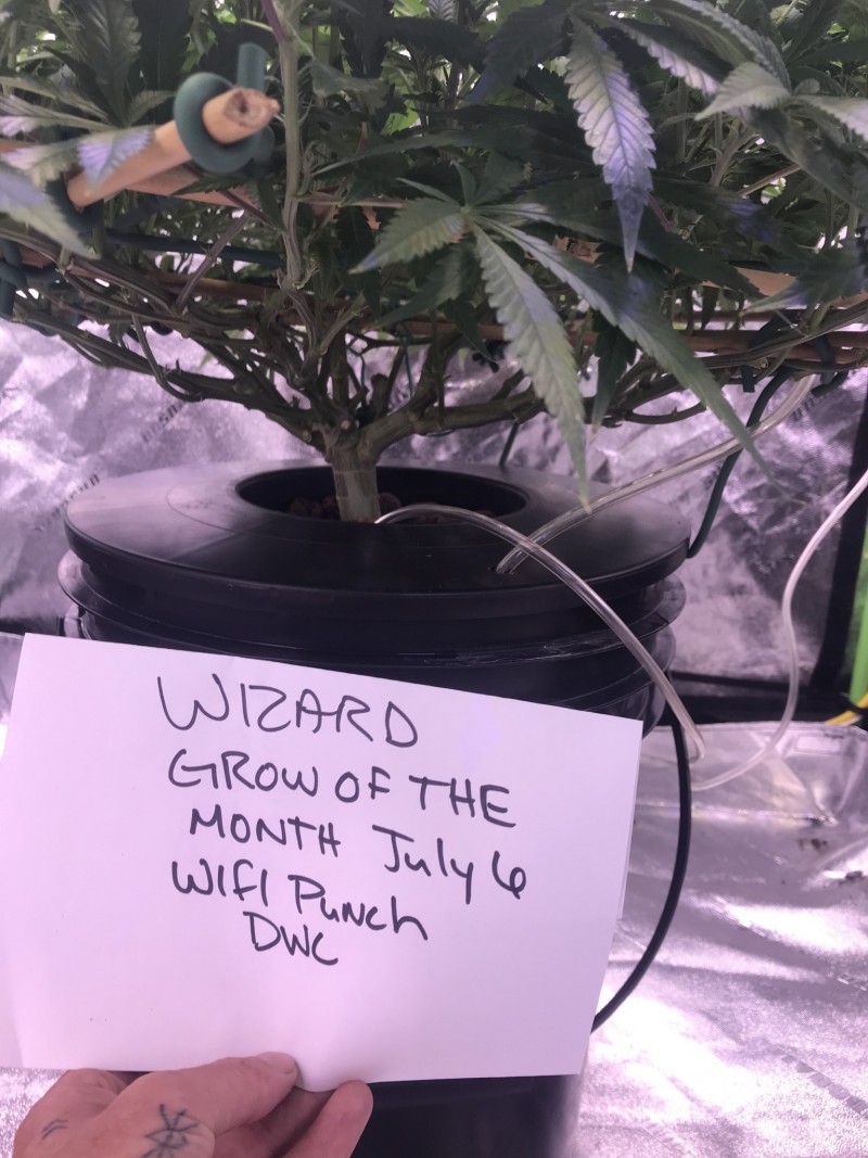 2897267E-D463-413B-8AC6-3459E5B9B242