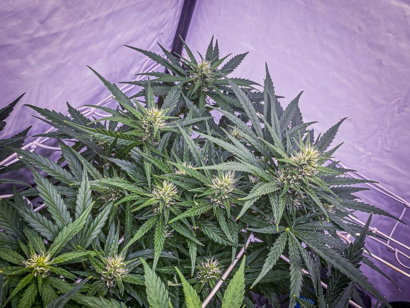 611F0788-36E7-4CD5-89D7-75807FEB5941