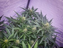 611F0788-36E7-4CD5-89D7-75807FEB5941