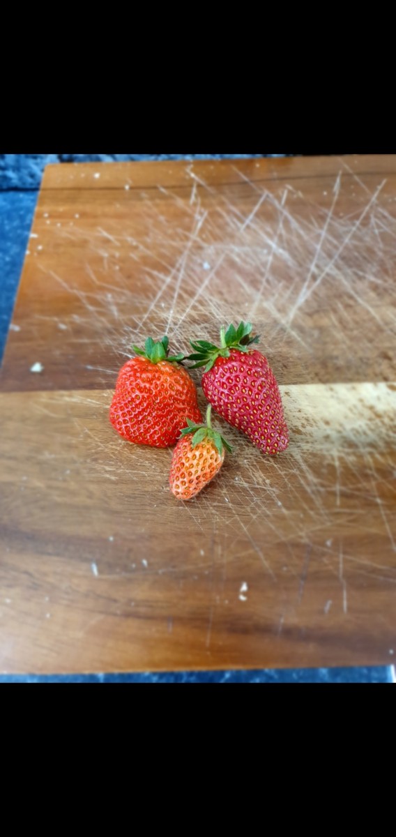 Screenshot_20210704-210439_Gallery