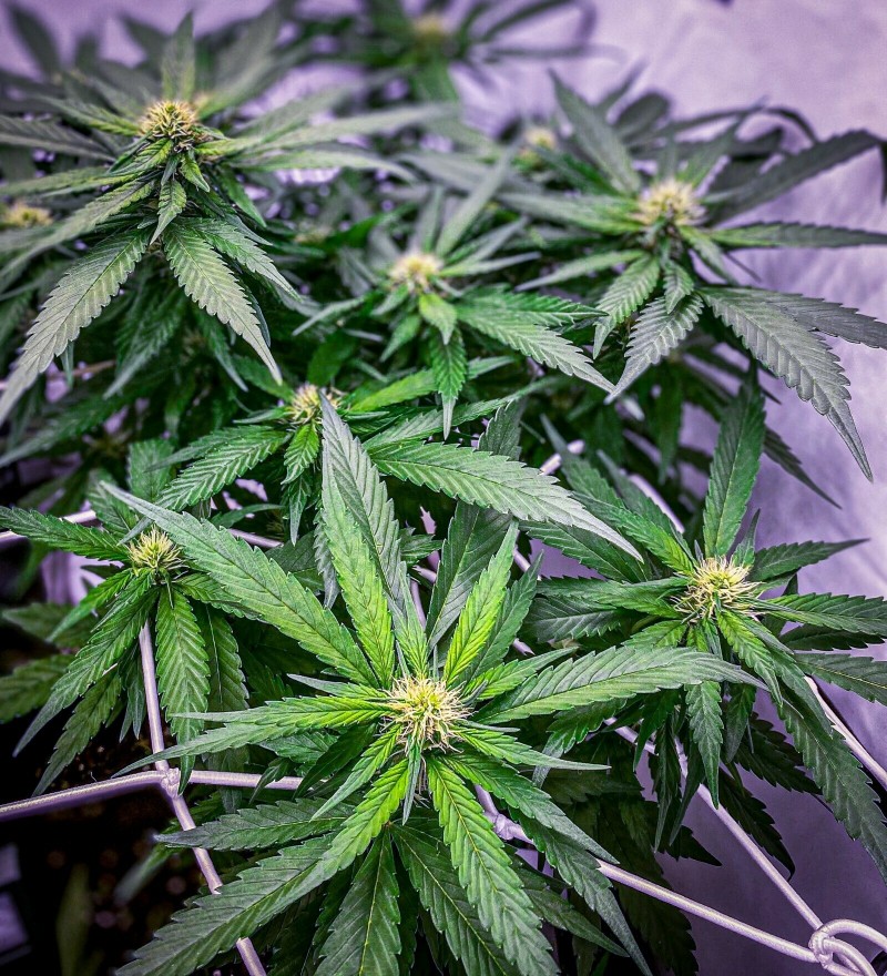 05E557E7-8630-4904-B605-7CA502AC4036