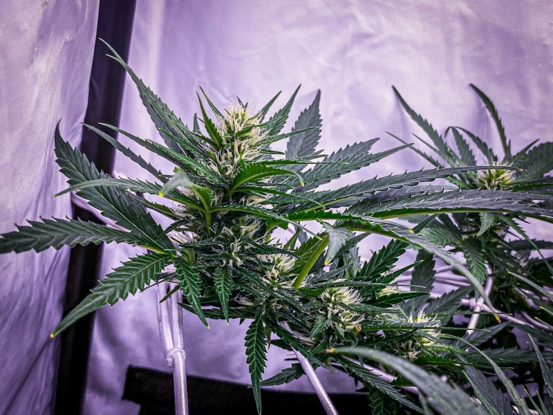 CC916AF6-96C4-4824-AA3F-52883E06F9B8