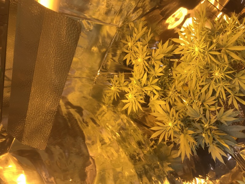 14667E48-16B1-4737-AB5B-7CB93D703410