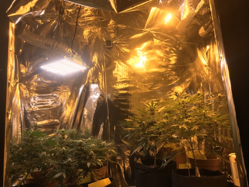 8DF6B503-5F0D-432F-A00E-72737E70A639