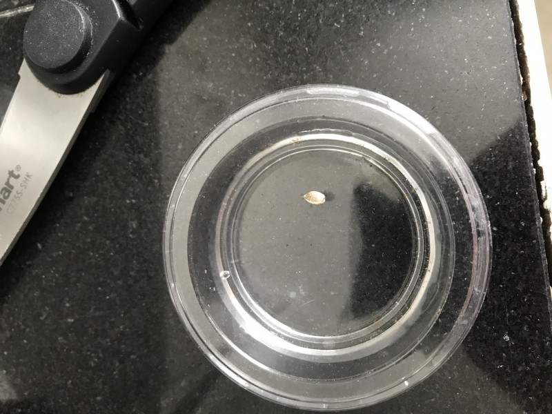 CC687F46-3603-46A9-9D51-863A60F36EE7