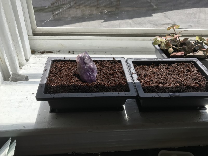 2F9E1DC6-7D03-4383-9878-20DBBFF2E7B3