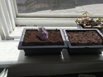 2F9E1DC6-7D03-4383-9878-20DBBFF2E7B3