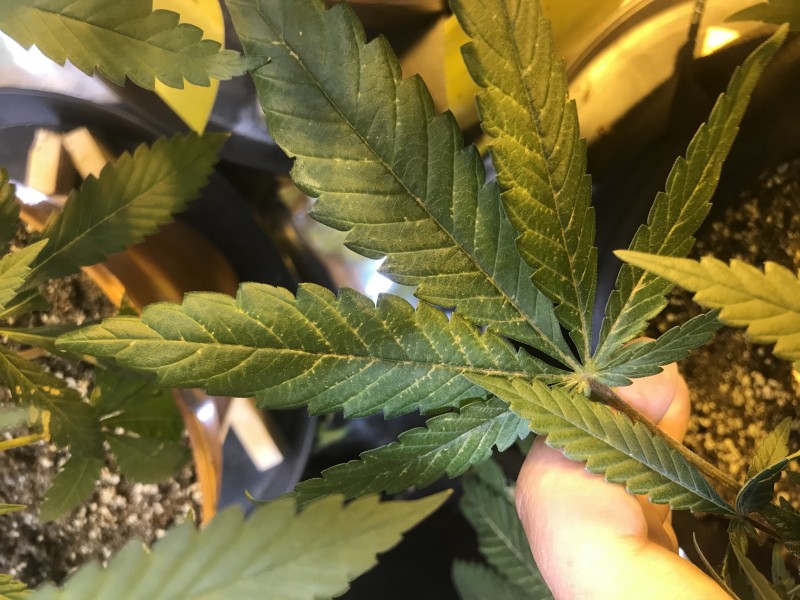 3E9AA5E3-3C93-44AB-A7AB-825C573AF9E2