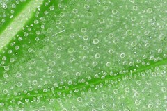 Photo on 2021-07-07 at 5.07 PM #2