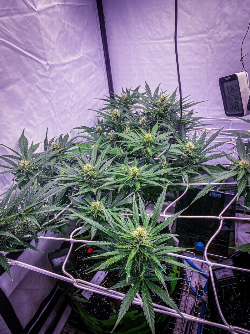 022B2ACC-8091-4CD4-AD5D-BE3A261909CB