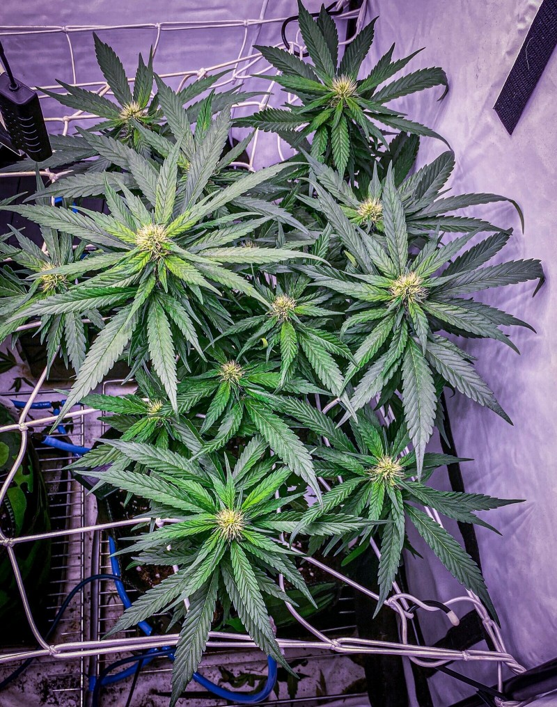 B5B366C3-035E-46D7-B878-6A9635B87E08