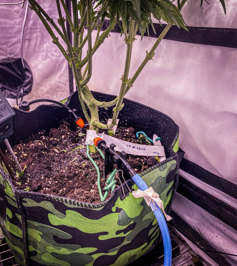 DBDD674D-A0DC-4449-BA3A-646D77EFB980