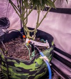 DBDD674D-A0DC-4449-BA3A-646D77EFB980