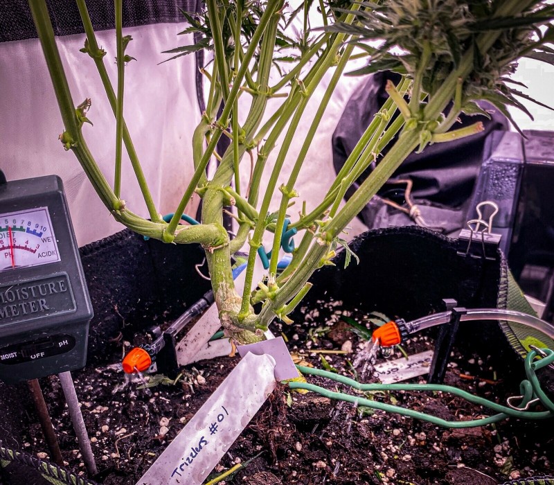 B18421D5-E241-47F0-B15D-4495D659553A