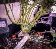 B18421D5-E241-47F0-B15D-4495D659553A