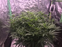 E365529E-120E-4404-9C24-34770F715D7A