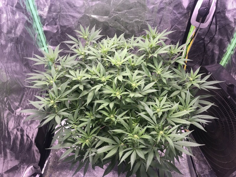 F8AD6AA0-EDFC-47BE-97E3-D74E800BC606