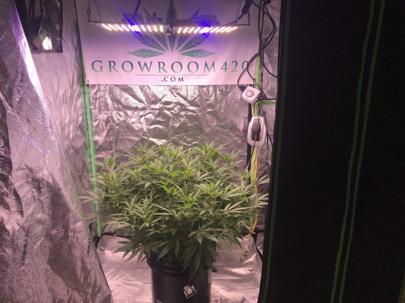 AB702656-A8B6-4BEB-82DE-D050CE4F7B8C