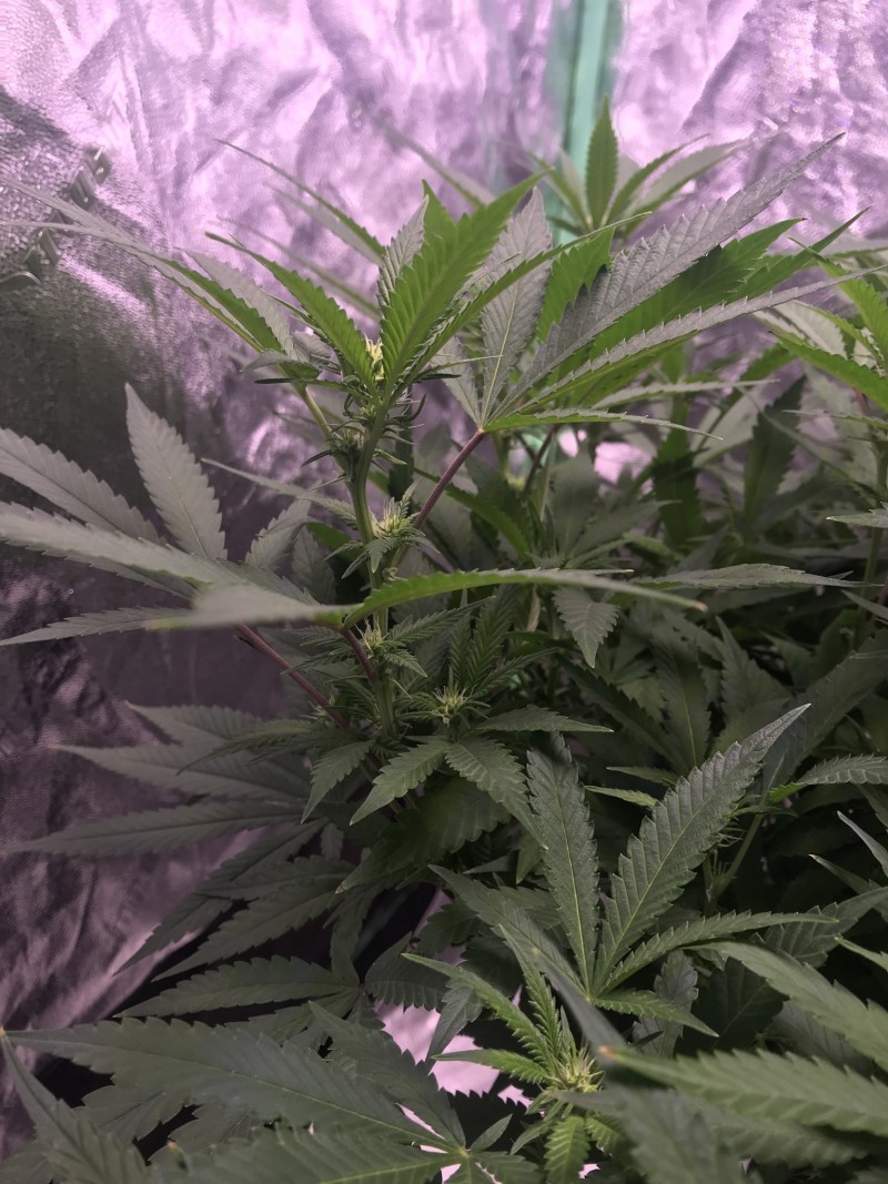 04EA35C9-D940-4EAA-BEF4-B88DD2E3E0ED