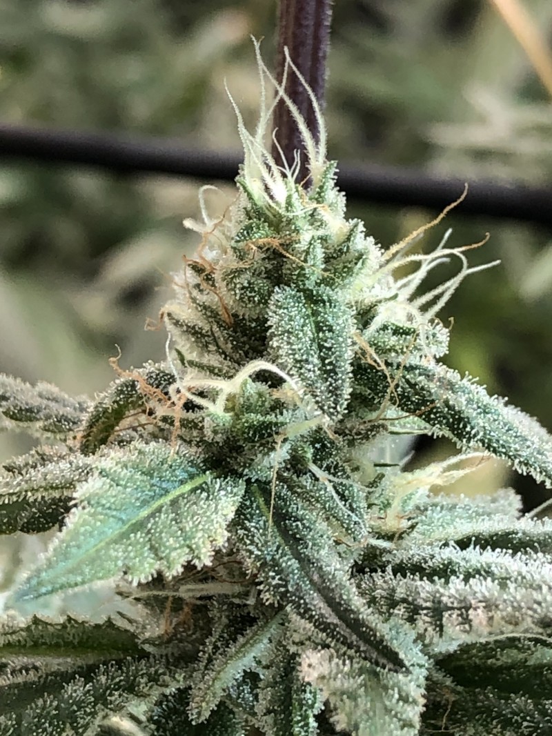 38460E0A-B60E-4E01-9954-2BD64F5226F0