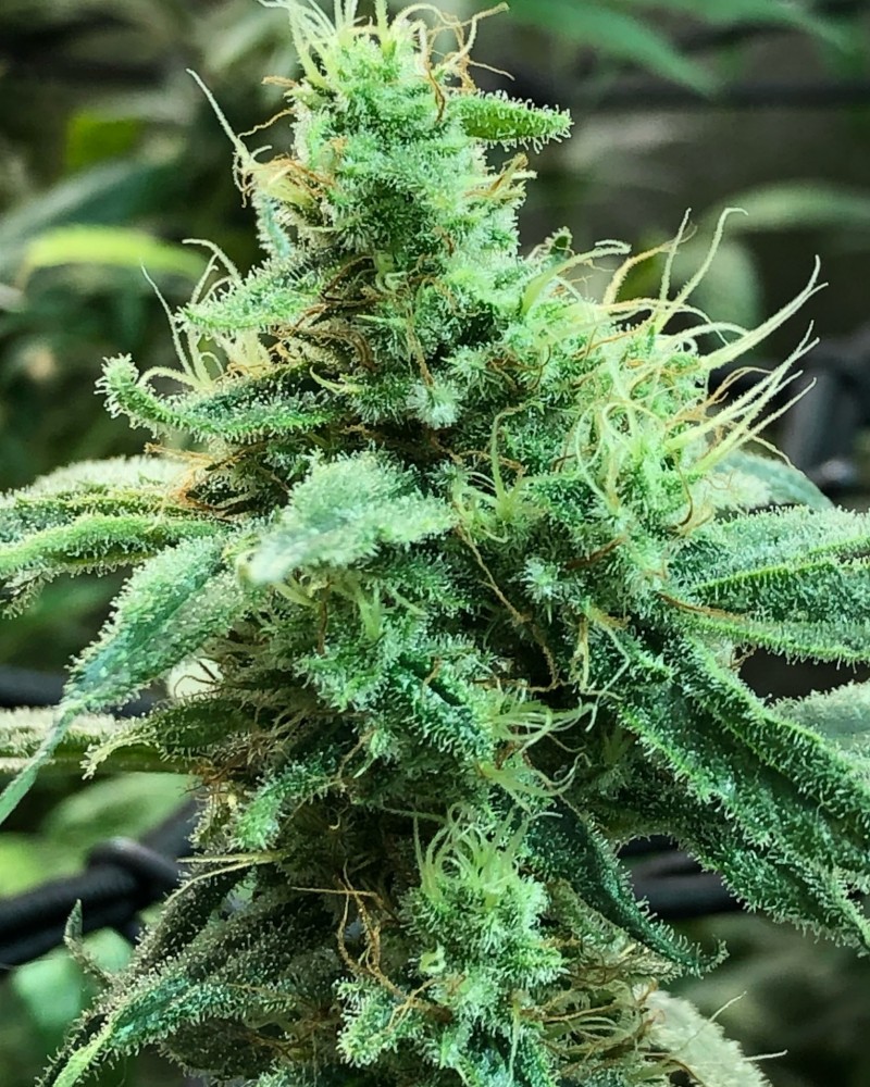 8AB34480-FFC1-42D1-8143-048BE5322FB2