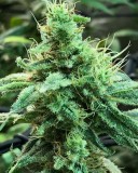 8AB34480-FFC1-42D1-8143-048BE5322FB2