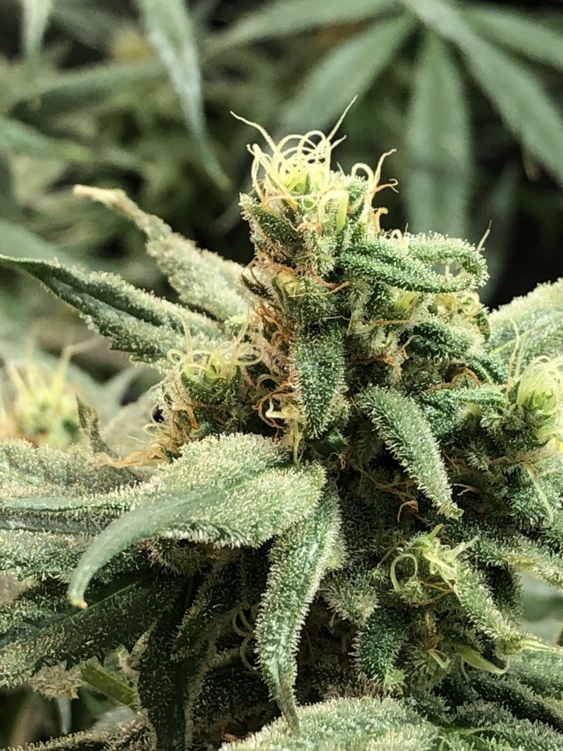 C231DD9F-9002-46B6-BFE6-542664779CBE