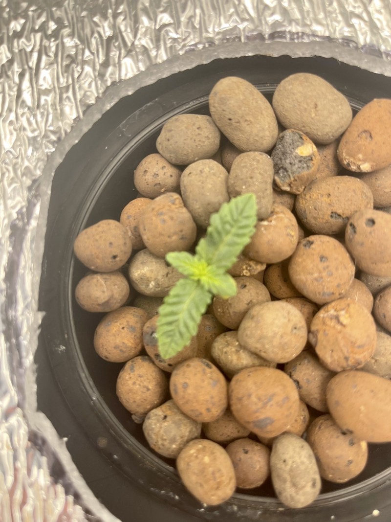 6D442CAF-AE90-4E19-9B86-F13F99BFF3AC