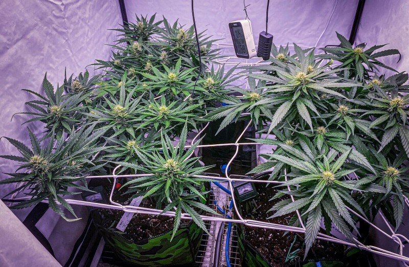 18DF0EE5-6D4A-4C46-8C55-D01BD96908A4